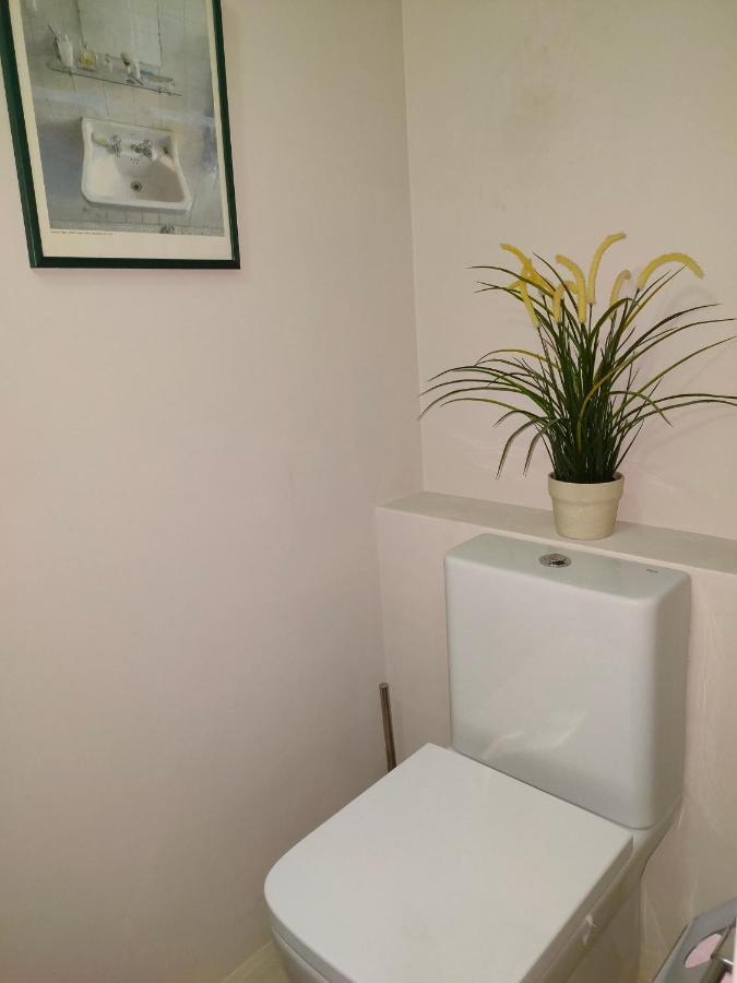 Relax, Silencio Y Sol En El Jardin Apartment Hendaye Luaran gambar